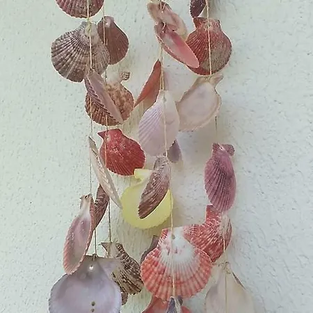Chalkidiki * Néa Fókaia